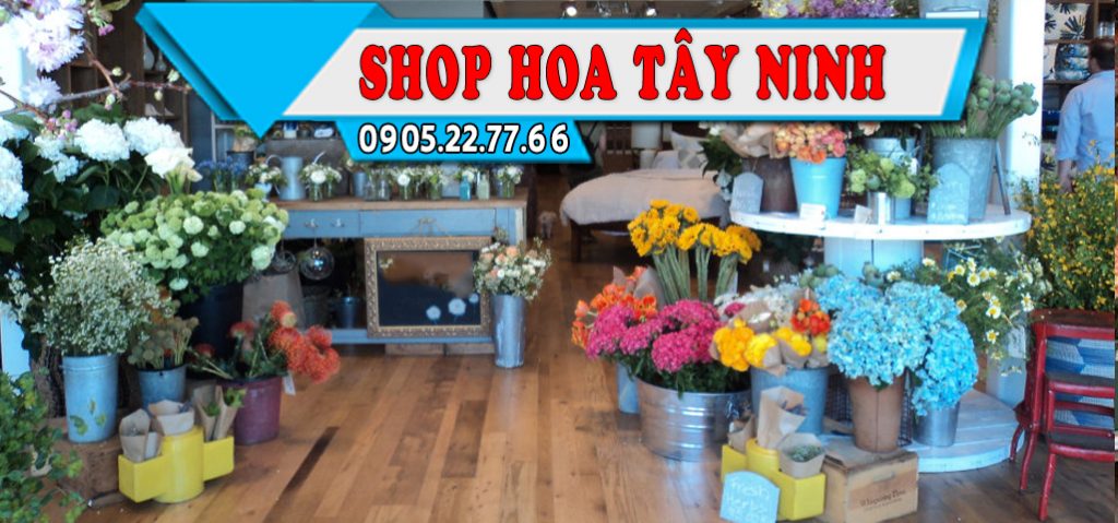 THÀNH PHỐ TÂY NINH, TÂY NINH - SHOP HOA TƯƠI, ĐIỆN HOA, ĐẶT HOA ONLINE GIAO TẬN NHÀ