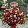 Kệ hoa khai trương đẹp, lạ tại điện hoa tươi huyện Hồng Ngự, Đồng Tháp 