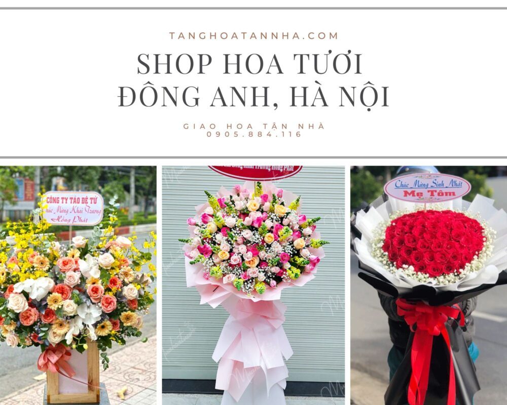 Địa chỉ shop hoa tươi sinh nhật đáng tin cậy KV  Quận Tây Hồ Thành phố Hà  Nội
