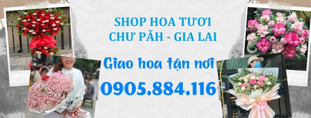 Shop Hoa Tươi Chư Păh, Gia Lai – Giao Hoa Tận Nơi Gia Lai