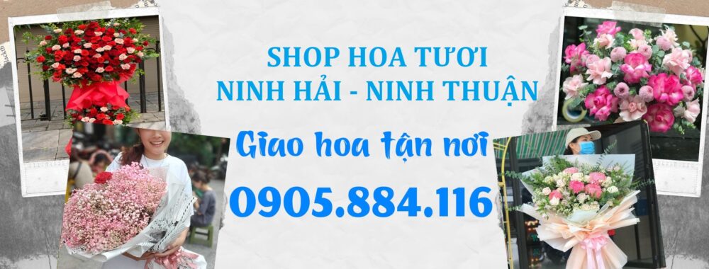 Shop Hoa Tươi Ninh Hải, Ninh Thuận – Giao Hoa Tận Nơi Ninh Thuận