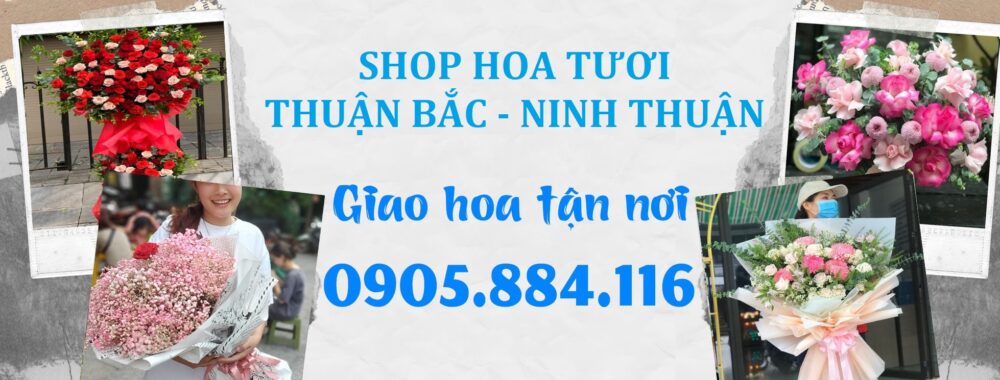 Shop Hoa Tươi Thuận Bắc, Ninh Thuận – Giao Hoa Tận Nơi Ninh Thuận