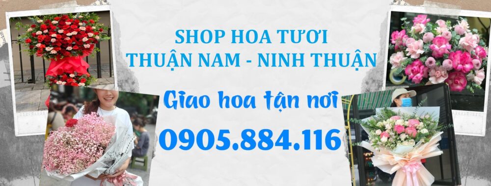 Shop Hoa Tươi Thuận Nam, Ninh Thuận – Giao Hoa Tận Nơi Ninh Thuận