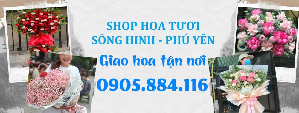 Shop Hoa Tươi Sông Hinh – Giao Hoa Tận Nơi Phú Yên